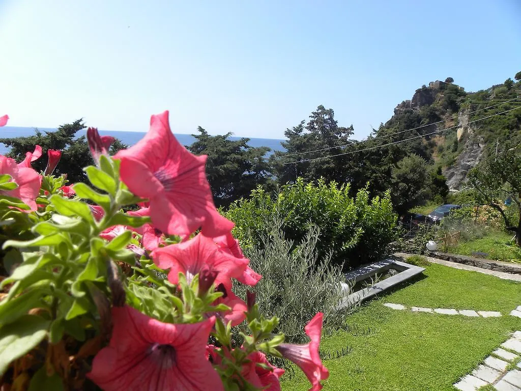 Corte Del Gallo Corniglia Bed & Breakfast